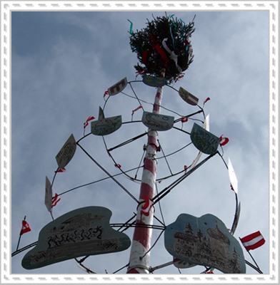 Maibaum steht!