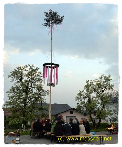 Maibaum Mühlbachstrasse