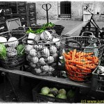 By Fritz Renzl 023 4k