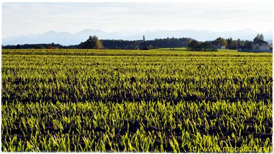 Herbstspaziergang Moosdorf 023 4k