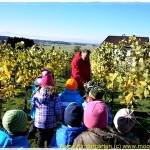 Kindergarten im Weinberg