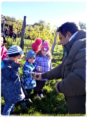 Kindergarten im Weinberg