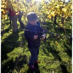 Kindergarten im Weinberg