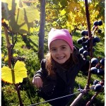 Kindergarten im Weinberg