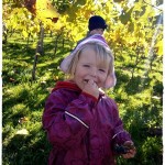 Kindergarten im Weinberg