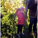 Kindergarten im Weinberg