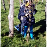 Kindergarten im Weinberg