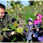 Kindergarten im Weinberg