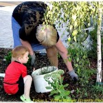 Pflege Grün Dorfplatz 002 4k