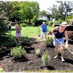 Pflege Grün Dorfplatz 003 4k