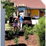 Pflege Grün Dorfplatz 004 4k