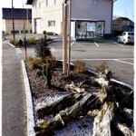 Pflege Grün Dorfplatz 009 4k