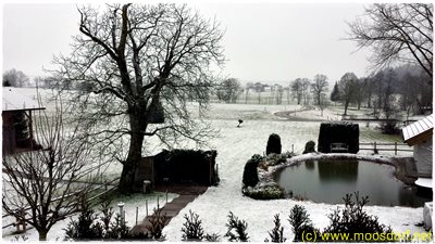 Erster_Schnee_002_4k