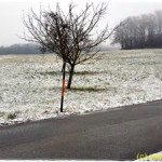 Erster Schnee 004 4k