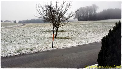 Erster_Schnee_004_4k