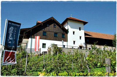 Gwölb Menue KW18 007 4k