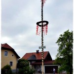 Maibaum Mühlbachstr JG 001 4k
