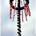 Maibaum Mühlbachstr JG 002 4k