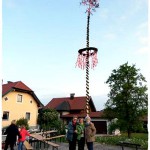 Maibaum Mühlbachstr JG 008 4k