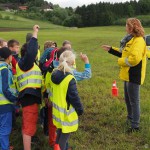 Hallo Auto Aktion (2 von 12)