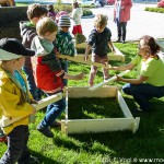 Kartoffelpyramide VS (1 von 3)