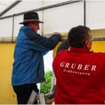 Kirtag2014 Aufbau (13 von 21)