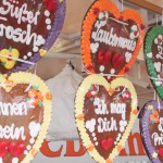 Kirtag Dinge u Macher (10 von 31)