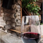 Wolfersberger Garten intern Fest (13 von 13)