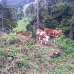 GG Bergwandern Stahlhaus (16 von 18)
