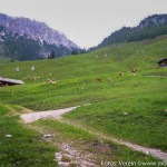 GG Bergwandern Stahlhaus (2 von 18)