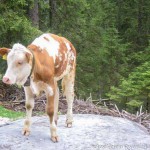 GG Bergwandern Stahlhaus (5 von 18)
