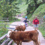 GG Bergwandern Stahlhaus (6 von 18)