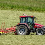 Gras Wiese (1 von 11)