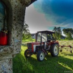 Gras Wiese (10 von 11)