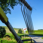 Gras Wiese (11 von 11)