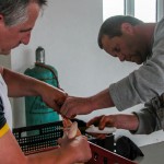 Ortsteilfest Elling (7 von 29)