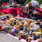 Flohmarkt Moosdorf (1 von 22)