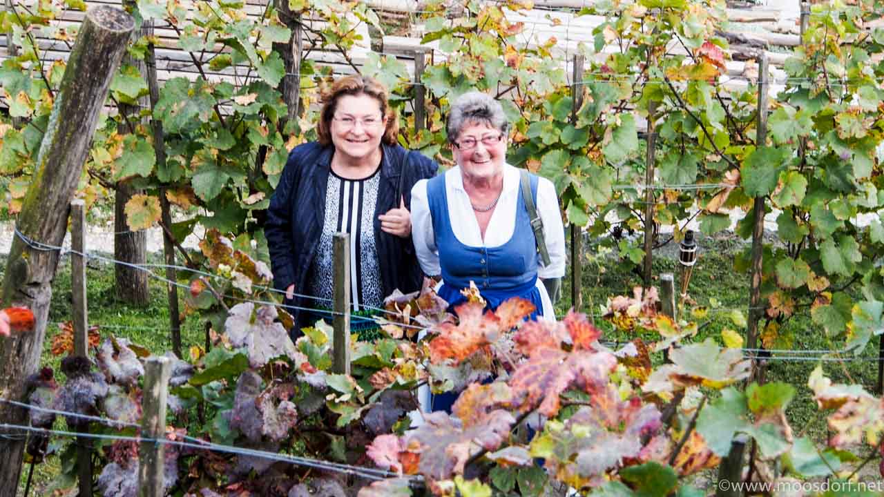 Innviertel Abend Gwölb (5 von 22)