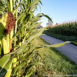 Kukuruz Schluchten (1 von 7)