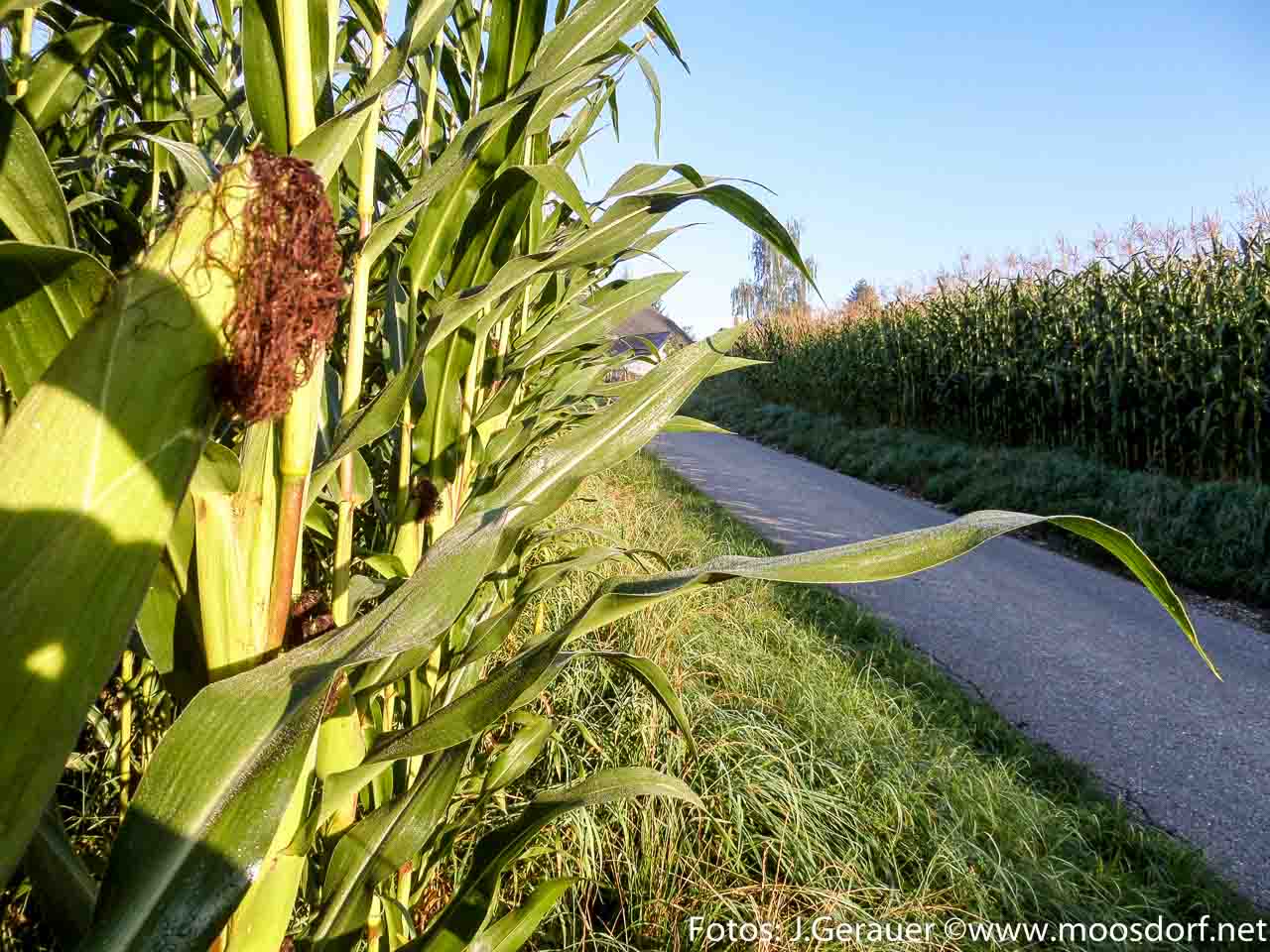 Kukuruz Schluchten (1 von 7)