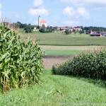 Kukuruz Schluchten (5 von 7)