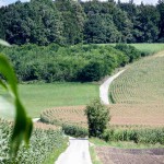 Kukuruz Schluchten (6 von 7)