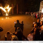 Internationales Stahlsymposium 2014 / Kraftwerk Riedersbach