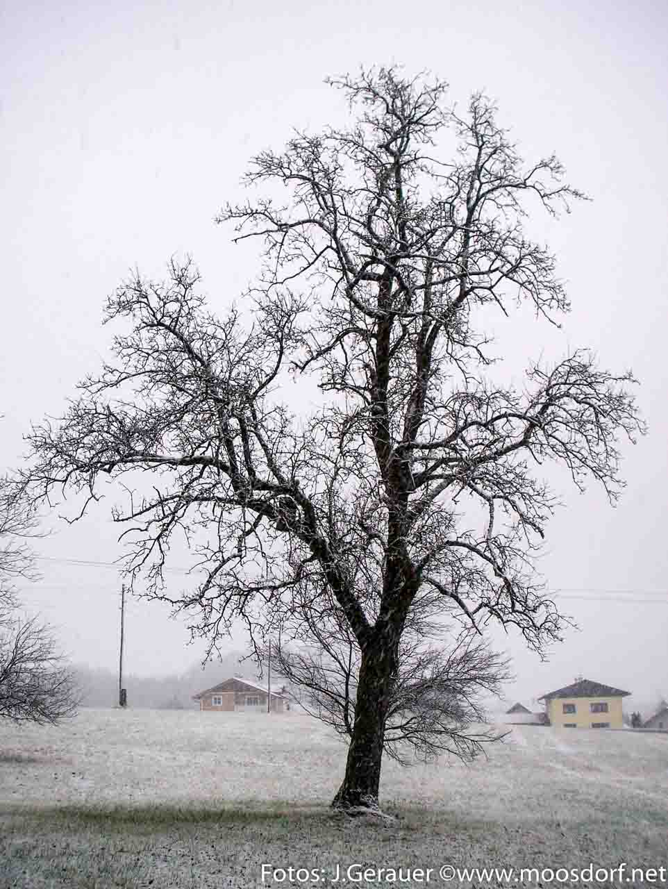 Allerheiligen (1 von 3)