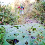 GG Bergwanderung Faistenau (1 von 21)