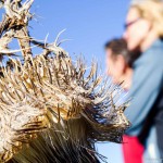 GG Bergwanderung Faistenau (13 von 21)