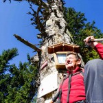 GG Bergwanderung Faistenau (15 von 21)