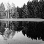 Hackenbuch am See (2 von 6)