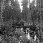 Hackenbuch am See (3 von 6)