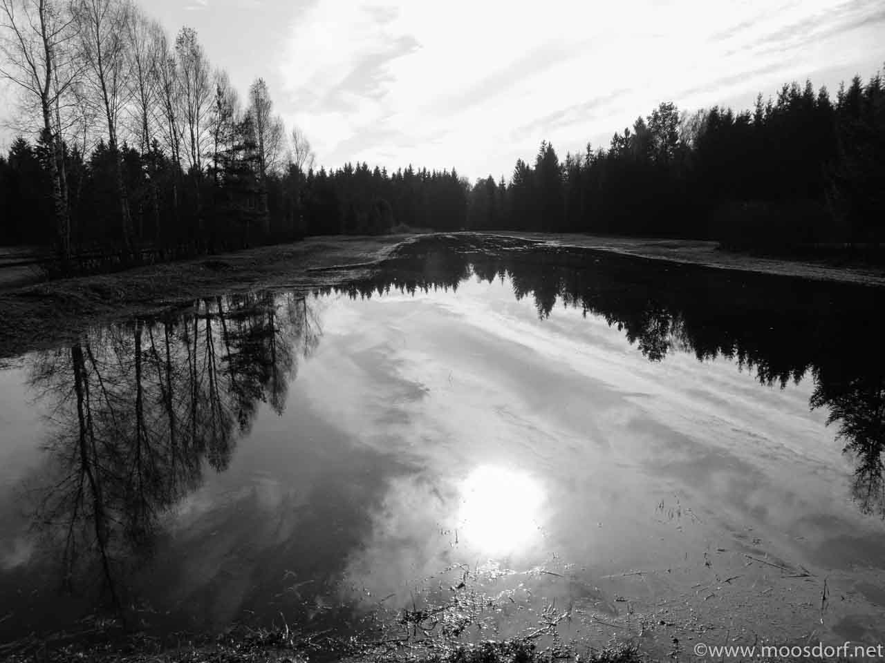 Hackenbuch am See (5 von 6)